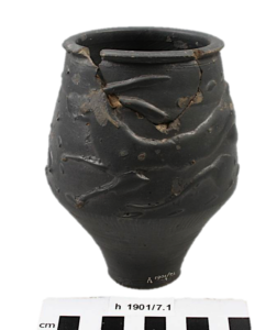 Romeinse beker van GO 1901