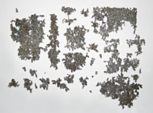 Malienkolder van Ouddorp