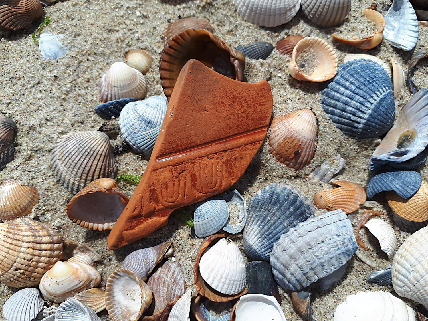 Lezing over publieksproject en onderzoek naar aangespoelde Romeinse vondsten in Zeeland