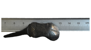 kapfibula Bozum Goeree_DvdZ